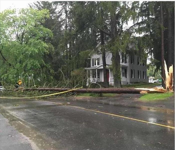 house after storm with trees down
