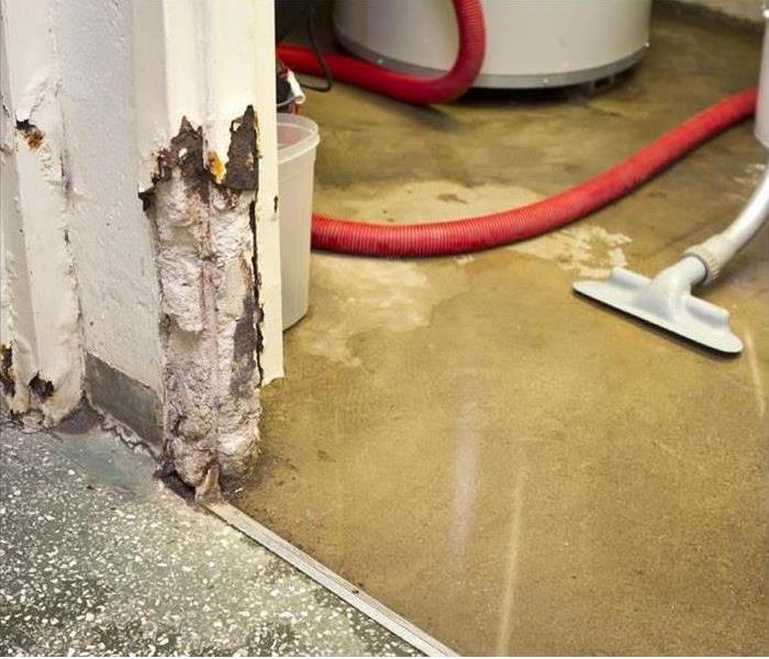 Water Damage & Mold 