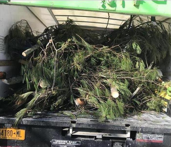 SERVPRO box truck with branches of trees