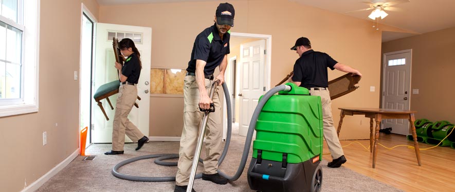 Westbury, NY cleaning services